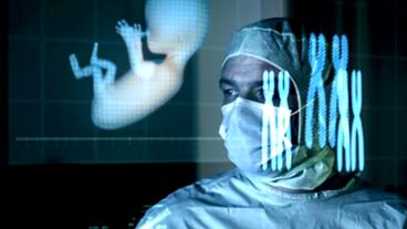 Bild: WDR Forscher hinter Projektion Chromosomen/Embryo