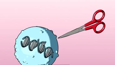 Bild: WDR Animation: Genschere, Körperzelle, DNA