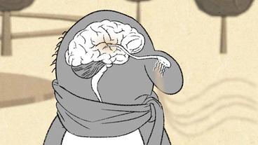 Comic: Duft zieht durch Nase ins Gehirn.