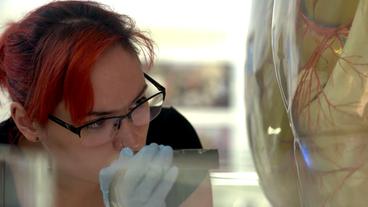 Bild: NDR Wissenschaftlerin untersucht eine Gläserne Figur.