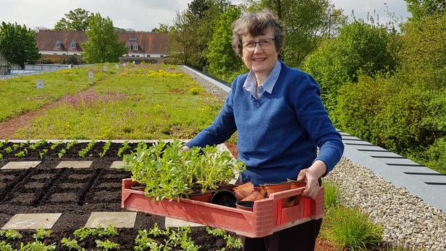 Prof. Dr. Elke Meinken auf dem Gründach 