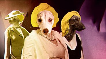 Bild: WDR Animation: Blondinen-Hunde