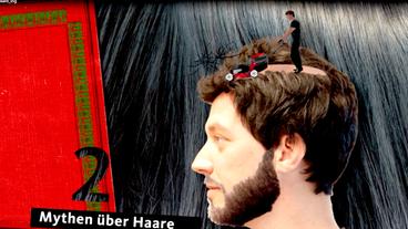 Bild: WDR Kopf eines Mannes, auf dem ein Miniaturmann mir Rasenmäher die Haare abmäht.