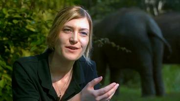 Bild: WDR/Nunifilm Die deutsche Wissenschaftlerin Franziska Harich