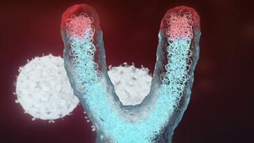 Bild: NDR Chromosomen-Enden in einer Gafik dargestellt.