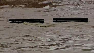 Bild: SWR Zwei Sitzbänke im Hochwasser
