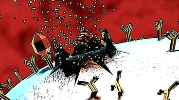 Bild: BR Stilisierte Mastzelle im Comic, Botenstoffe diffundieren aus Zelloberfläche