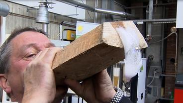 Bild: NDR Spüli tropft an einem Stück Holz herunter.