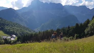 Bergwiese bei Marktschellenberg mit Untersberg