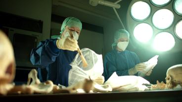 Wissenschaftlerinnen sortieren Knochen auf einem Labortisch 