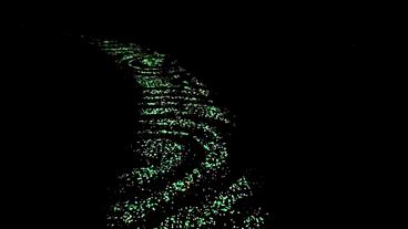 Bild: Studio Roosegaarde Beleuchteter Fahrradweg