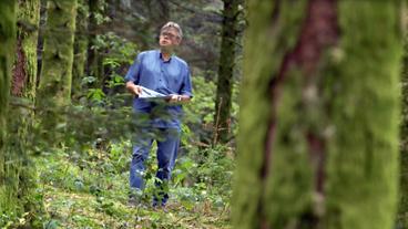 Bild: NDR Archäologe im Wald