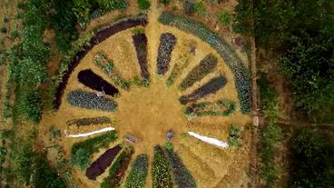 Bild: SWR Mandala-Feld aus der Vogelperspektive