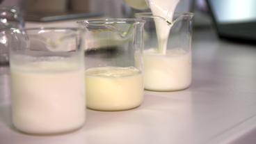 Bild: hr Milch in Gläsern