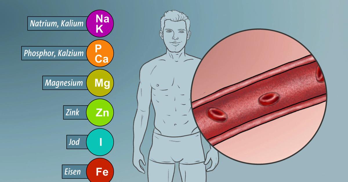 Die wichtigsten Vitamine und Mineralstoffe – wofür sind sie gut?