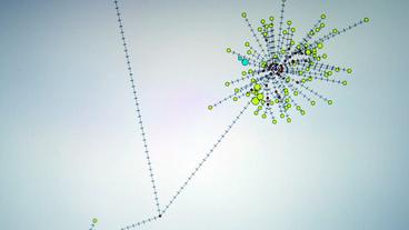Grafik Netzwerk eines Corona-Ausbruchs 