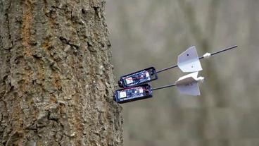 Bild: Imperial College London / Empa Pfeile in einem Baum.