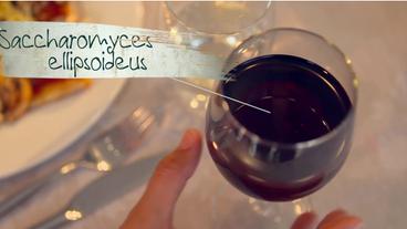 Bild: hr Ein Glas Rotwein
