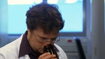 Bild: NDR Professioneller Sniffer bei der Arbeit