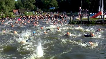 Bild: NDR Schwimmer im Zwischenahner Meer