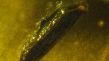 Bild: HR Mikroskop-Aufnahme eines küsntlichen Diamanten