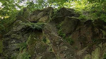 Riesiger Felsen im Wald mit Gedenktafel