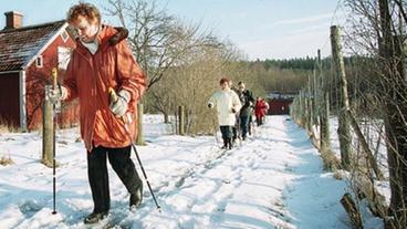 Nordic Walkling-Gruppe