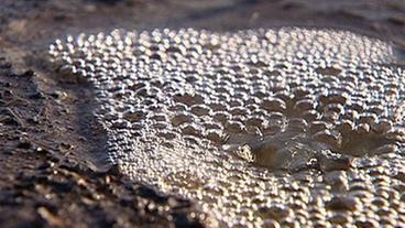 Kleiner Wassertümpel mit vielen Blasen an der Wasser oberfläche