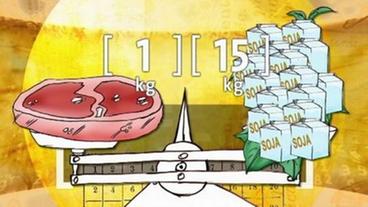 Zeichentrick: Ein Stück Fleisch und Säcke mit Soja auf einer Waage