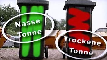 Bild: SWR Eine grün- und eine rot angemalte Mülltonne