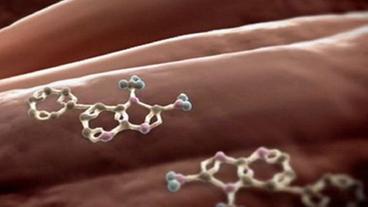 Bild: BR Bildung von heterozyklischen aromatischen Aminen