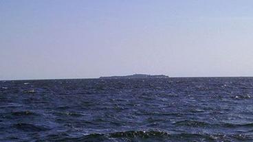 Bild: NDR Greifswalder Oie