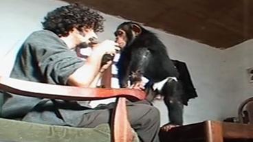 Drori mit Schimpansenkind