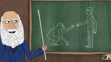 Zeichentrick: Darwin vor Tafel