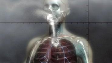 Die Animation zeigt, wie Feinstaub in die Lunge eindringt