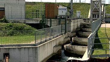 Bild: WDR Fischtreppe in Gambsheim