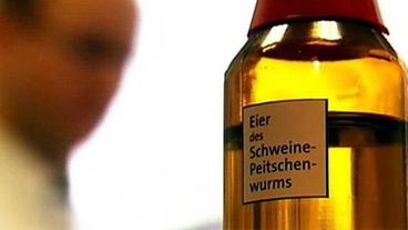 Flasche mit "Eiern vom Schweinepeitschen- Wurm"