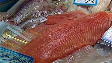 Bild: BR Lachs in Fischauslage
