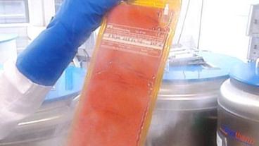Gefrorene Blutkonserve in Plastikbeutel