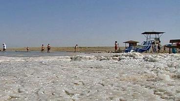 Bild: NDR Strand mit salzigem Boden