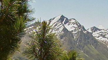 Bild: BR Tiroler Berge