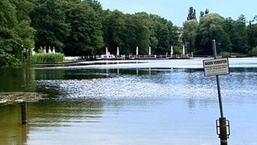 Ein Schild weist auf das Badeverbot im Halensee hin