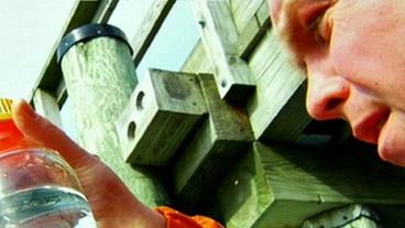 Bild: WDR Forscher schaut auf Glas mit Wasserprobe