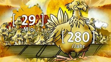 Anzahl der Hennen in Deutschland