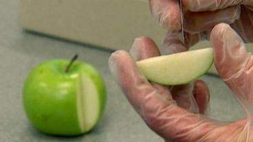 Ein Apfel wird für einen Allergietest präpariert