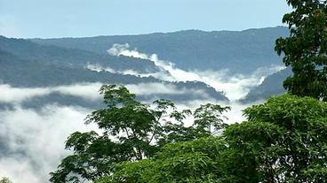 Blick auf den unberührten Regenwald