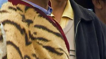 Bild: WDR Mann mit Tigerfell