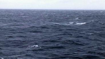 Bild: Leibniz-Institut für Ostseeforschung Warnemünde Satellitenbild eines Staubsturms über dem Atlantik vor der afrikanischen Küste