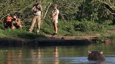 Bild: WDR Flusspferde in Swaziland