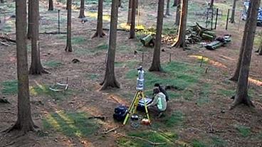 Forscher im Wald